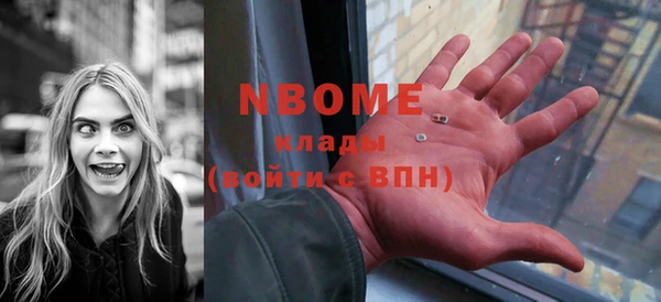 хмурый Пересвет