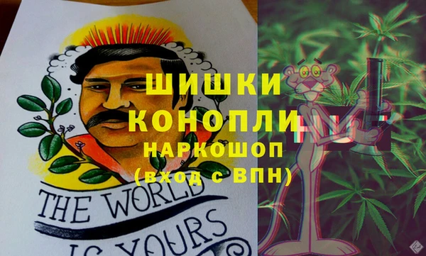 хмурый Пересвет