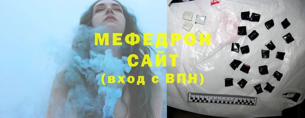 хмурый Пересвет