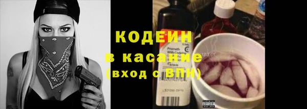 хмурый Пересвет