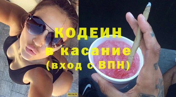 хмурый Пересвет