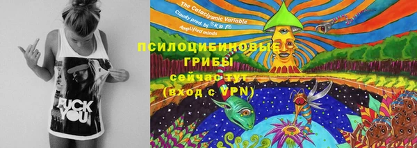 хмурый Пересвет