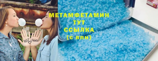 хмурый Пересвет