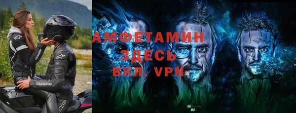 хмурый Пересвет