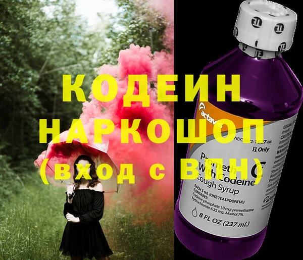 хмурый Пересвет