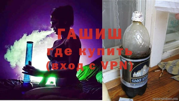хмурый Пересвет