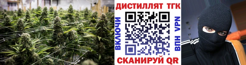 darknet телеграм  Азов  Дистиллят ТГК THC oil 
